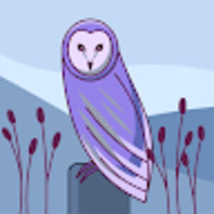 Meet your Posher, Destiny